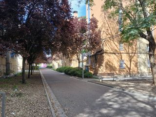 Pis a Carrer carrer salamanca 10. Acogedor piso  oportunidad para reformar