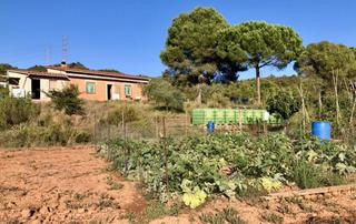 Proprit dans Camino vall de maria. Finca rstica con amplias posibilidades