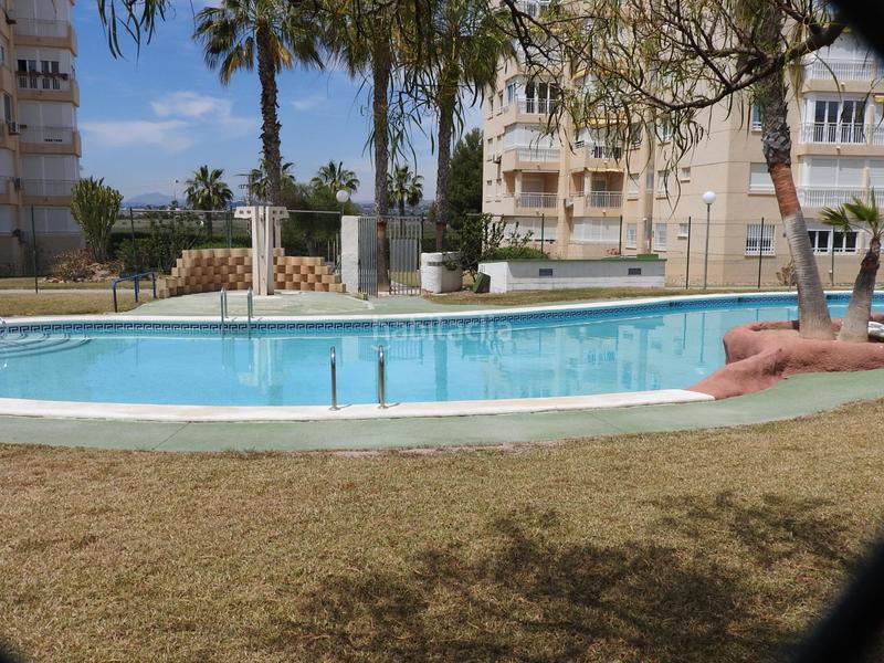 Foto aadc092f-d61e-4f03-9c83-f4928d943676. Affitto piccolo appartamento con parcheggio piscina in Alicante