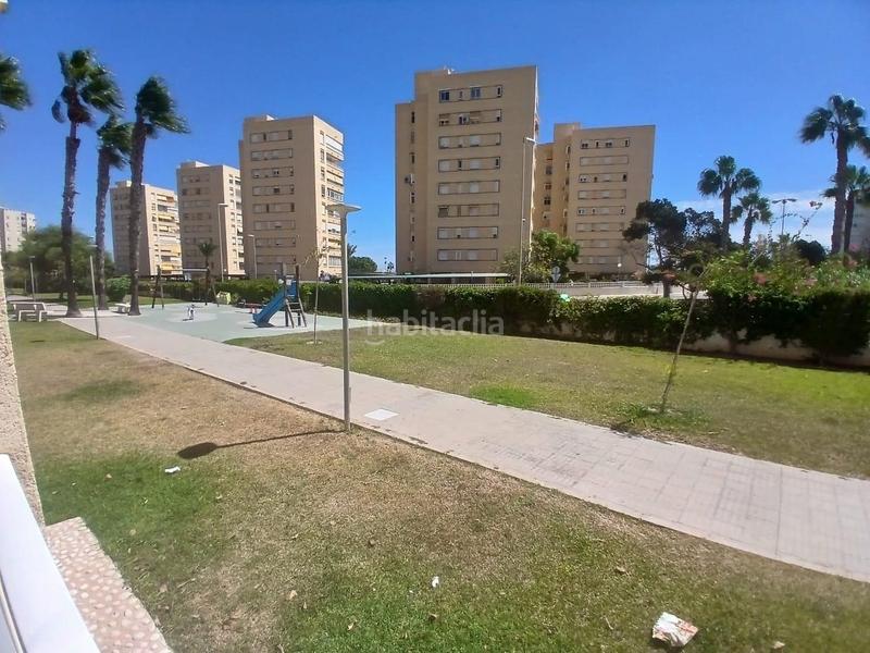 Foto fc1fc679-4a2d-4755-bfcc-7186b66d8b7b. Affitto piccolo appartamento con parcheggio piscina in Alicante