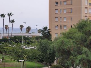 Apartament a Calle del Músico Agustín Bertomeu