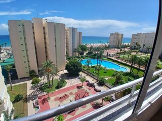 Rent Apartment  Calle prof. rafael casasempere
