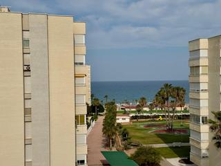 Lloguer Apartament  Calle calle del msico agustn bertomeu. Acogedor apartamento en urbanizacin privada