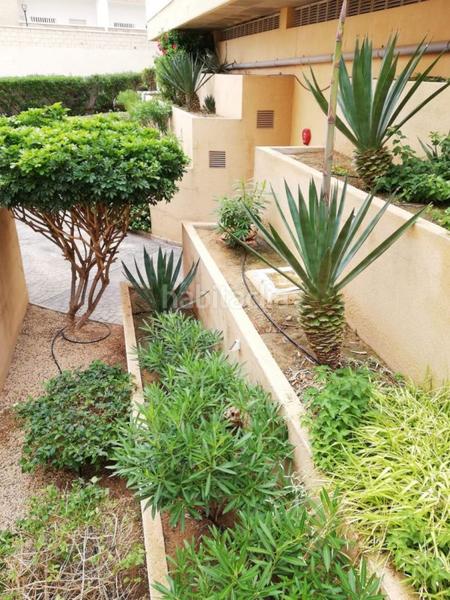Foto 867c9420-1f32-4d32-8b6c-a0480acc6ced. Location appartement avec chauffage parking piscine dans Elche / Elx