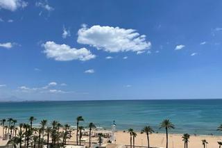 Location Appartement  Calle calle músico juan latorre baeza,