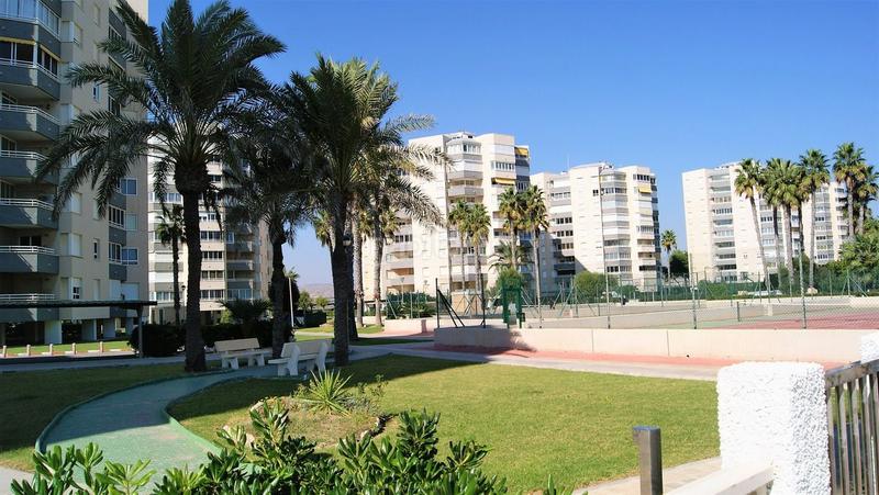 Foto 17447916-3d3d-46f3-83ef-14b0fb20b350. Alquiler apartamento en calle calle musico anton roch 1 en Alicante