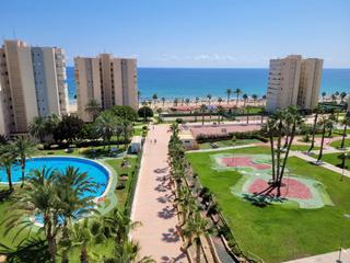 Lloguer Apartament  Calle  profesor rafael casasempere juan