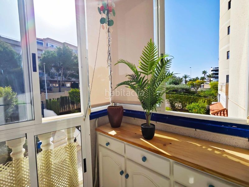 Foto 0ea59340-d266-436c-88f5-5b177d01f046. Lloguer apartament amb piscina a Los Arenales del Sol Elche / Elx