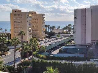 Alquiler Apartamento en Calle calle músico agustin bertomeu, 4