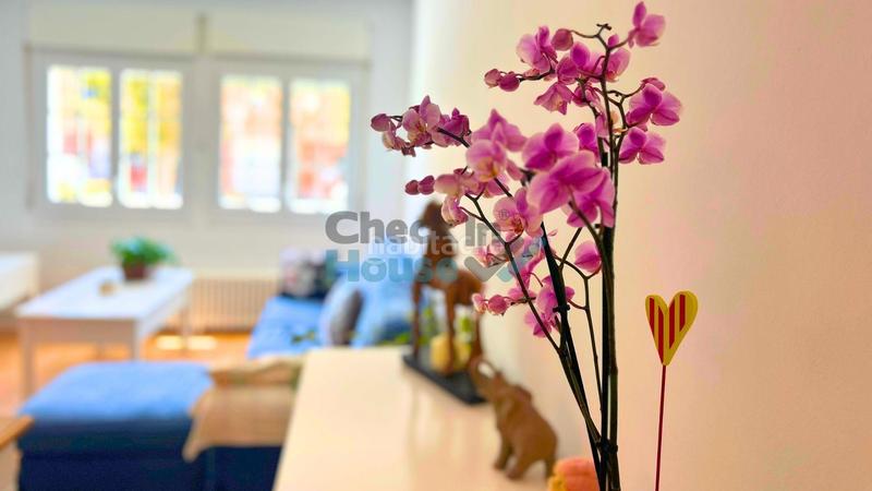 Foto 4e852726-565f-4ece-bb4a-5de9eb45a4e3. Casa adosada casa soleada moderna con garaje en Piverd-Vila-Seca-Bruguerol Palafrugell