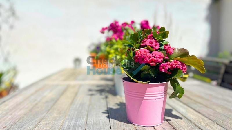 Foto 86aa2101-a13f-448e-9312-cce1a1fad481. Casa adosada casa soleada moderna con garaje en Piverd-Vila-Seca-Bruguerol Palafrugell