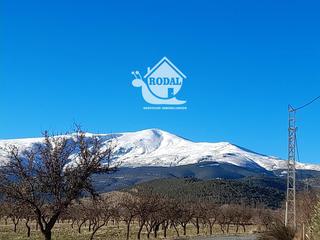 Finca rústica a Exfiliana 2. Se vende  parcela urbana con 1.787m con nave 200m en guadix, alb