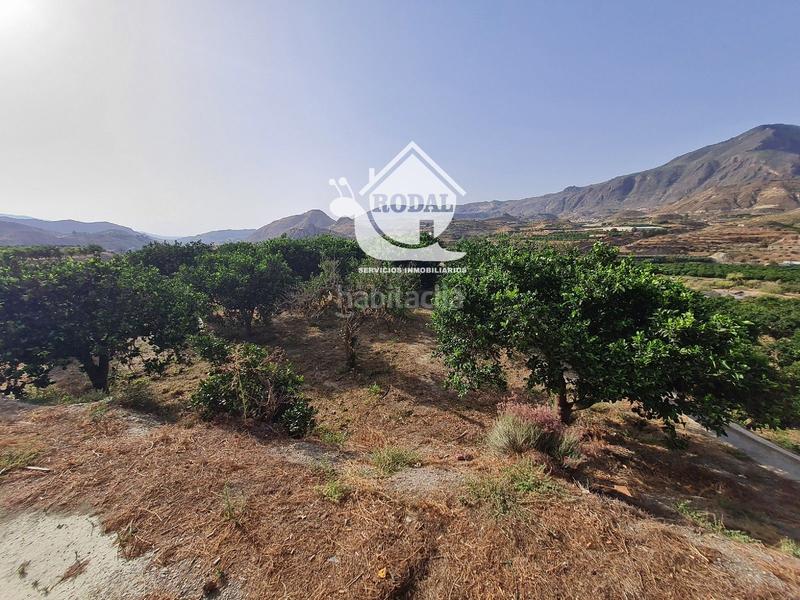 Foto 1fb04ff3-eef5-4b82-a247-d471a9cae97b. Finca rústica a Bentarique