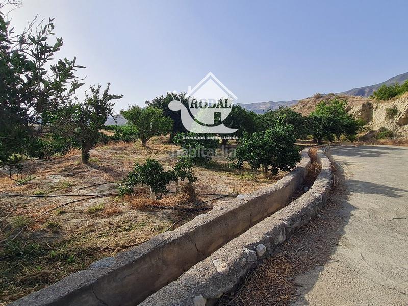 Foto 622d767a-fd97-4161-9607-5e1983641b6f. Finca rústica a Bentarique