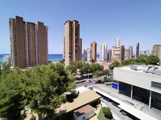 Estudi a Rincón Alto