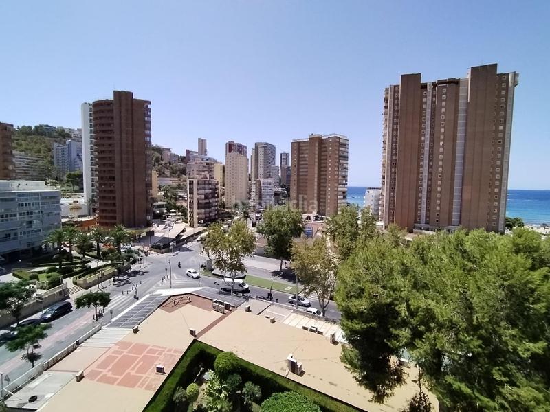 Foto 5f1d7513-ed34-455a-87c4-8b36e0e1267b. Estudio en Rincón Alto Benidorm