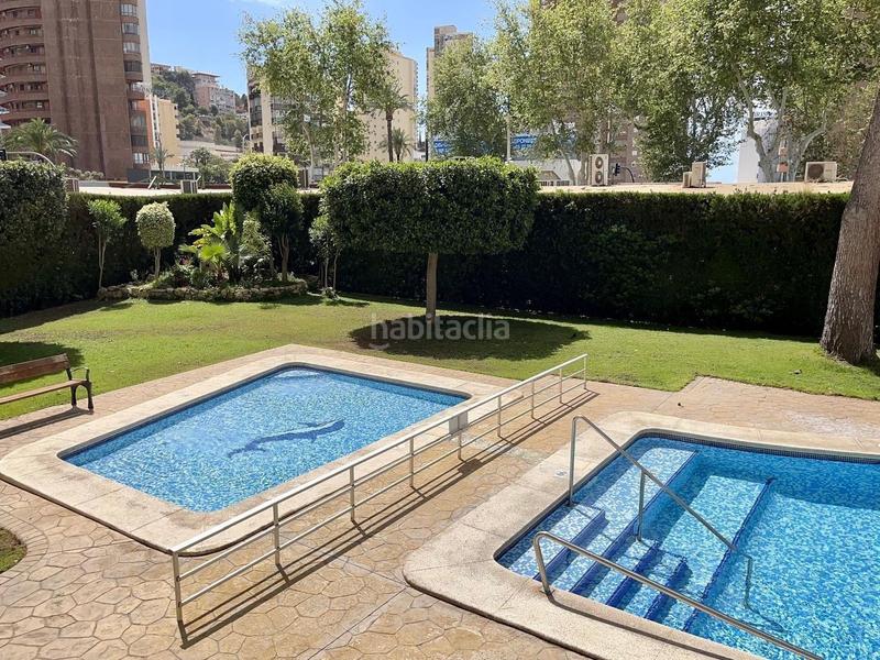 Foto b93df0ea-e9cf-448d-83d5-27f3d8627d40. Estudio en Rincón Alto Benidorm