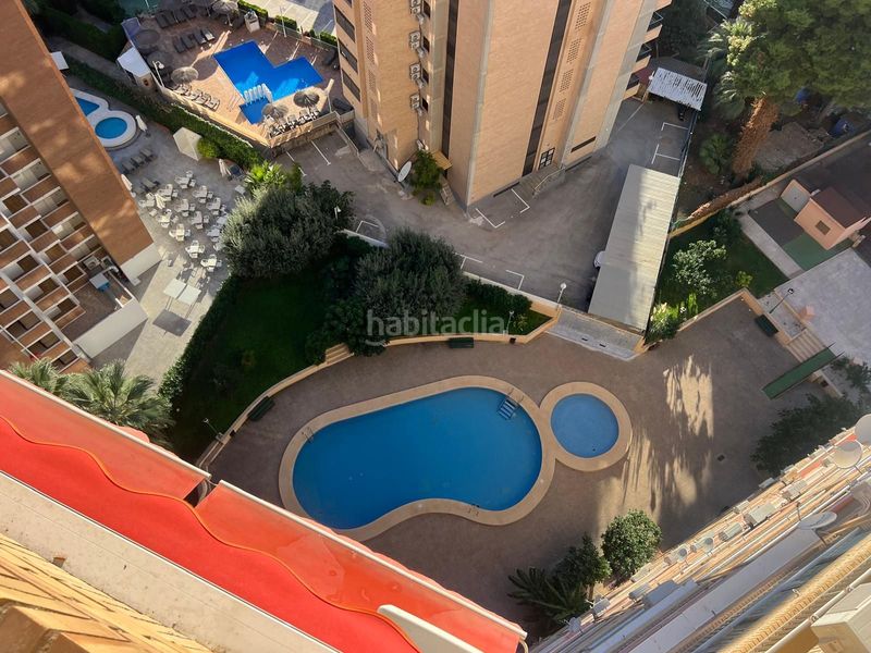 Foto 45808b32-cba2-49f6-b706-4595d7beedf6. Pis amb piscina a Playa Levante Benidorm
