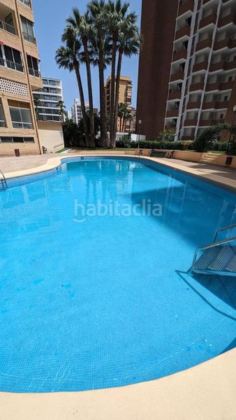Foto d08b5e13-e1fe-4722-abaf-2c56b054075a. Pis amb piscina a Playa Levante Benidorm