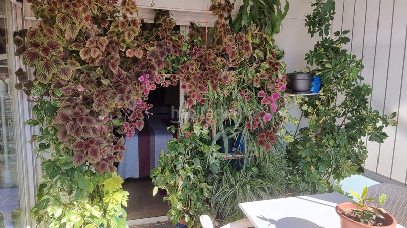 Foto 517e431c-1987-4c3d-9708-c63dce2243b4. Àtic a Cala Alta-Veramar Vila Joiosa (la)