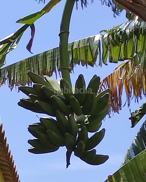 Foto 8070cb27-45f1-4888-8d0a-467577e2a996. Haus in Sierra Helada Benidorm