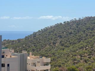 Apartment in Las Azaleas-Alkadir