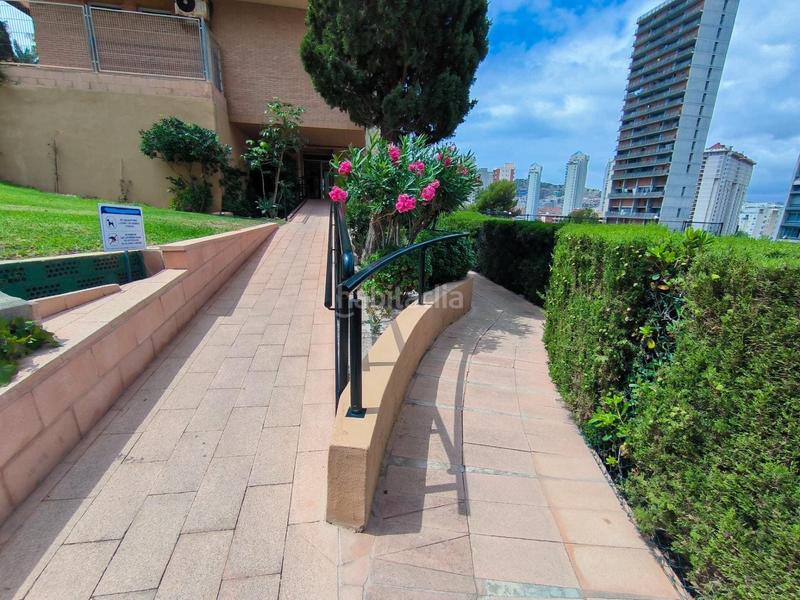 Foto 2816b4de-9de9-4b26-b38f-897b6a4009b7. Piccolo appartamento con piscina in Playa Poniente Benidorm