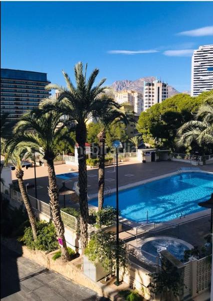 Foto a1252ae1-b187-44f7-a964-dce814f78618. Apartamento en Playa Poniente Benidorm