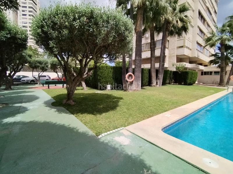 Foto d844aee1-9f4e-417a-8058-55c512c97dc5. Piccolo appartamento con piscina in Levante Alto Benidorm
