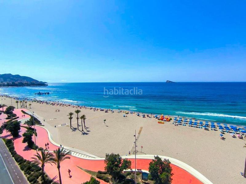 Foto e9d3e059-a431-4ec1-b811-a0438bb56ba4. Dúplex en Playa Poniente Benidorm