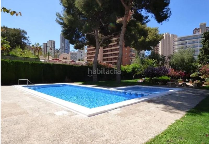 Foto 509de27b-71dc-4b1c-9689-74ebe3d2db2e. Estudio en Rincón Alto Benidorm