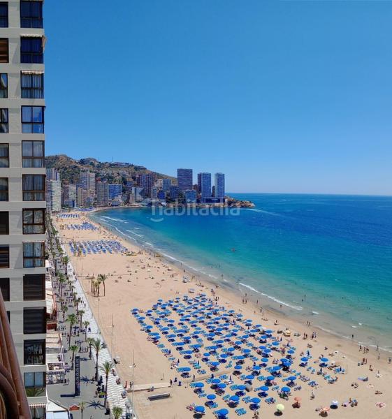 Foto 7f415147-183a-48a7-9ae9-b2665e62701b. Apartament amb piscina a Playa Levante Benidorm