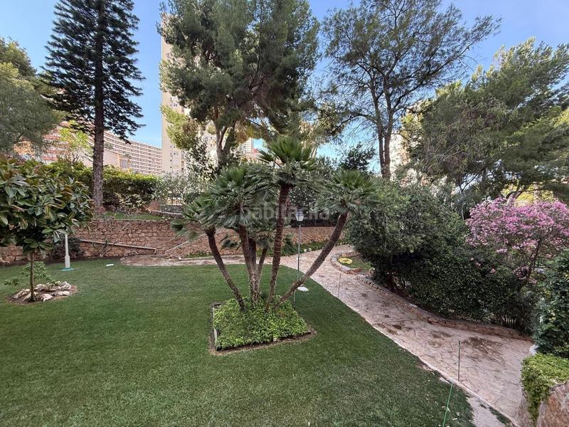 Foto b0316d07-9782-4edc-b6cd-0cfcc47c92ec. Piccolo appartamento con piscina in Rincón Alto Benidorm