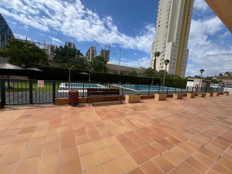 Foto 85a52773-889c-4d10-bac4-742d1f1546db. Piccolo appartamento con piscina in Via Parque Benidorm