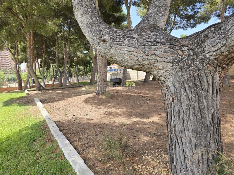 Foto f73c882e-e99a-4a03-b18b-317c37c700d3. Appartement avec piscine dans Playa Poniente Benidorm
