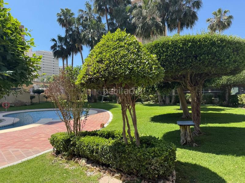 Foto 2efb5022-2c2d-4346-8fb7-a07467838ce5. Piccolo appartamento con piscina in Playa Levante Benidorm