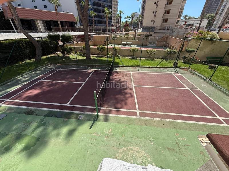Foto 3e72a53e-5d1e-469b-b06a-beeb4ab4cf03. Piccolo appartamento con piscina in Playa Levante Benidorm