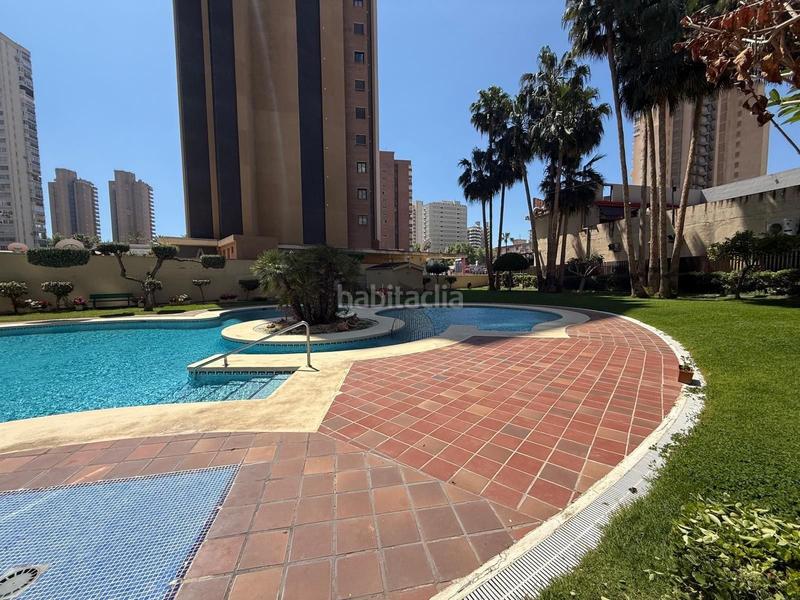 Foto 3e8db242-6ce4-4bd3-b520-a94d6b772e37. Piccolo appartamento con piscina in Playa Levante Benidorm