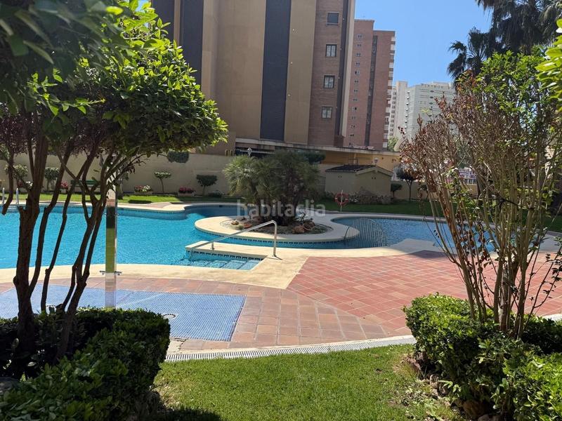 Foto 4f708cc8-af76-4742-967c-84eae7299c93. Piccolo appartamento con piscina in Playa Levante Benidorm
