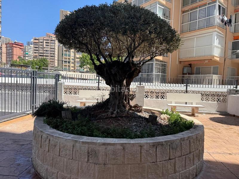 Foto 5e119fad-a2a2-4a3d-99c6-3a0e4cd9f675. Piccolo appartamento con piscina in Playa Levante Benidorm