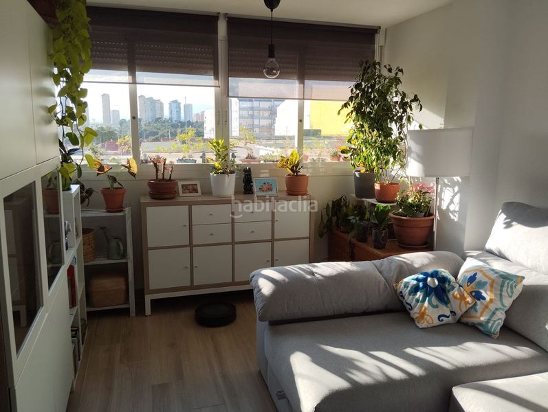 Foto 74304f40-ed35-458b-b1f5-a28a2912ae0c. Apartament a Colonia Madrid Benidorm