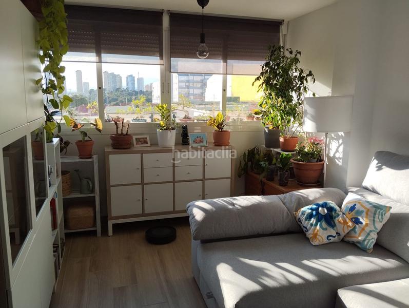 Foto 74304f40-ed35-458b-b1f5-a28a2912ae0c. Apartamento en Colonia Madrid Benidorm