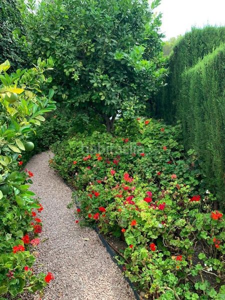 Foto 7e983a68-9dc4-4ac5-b9d0-ffb4b039fea1. Casa amb piscina a Mascarat Altea