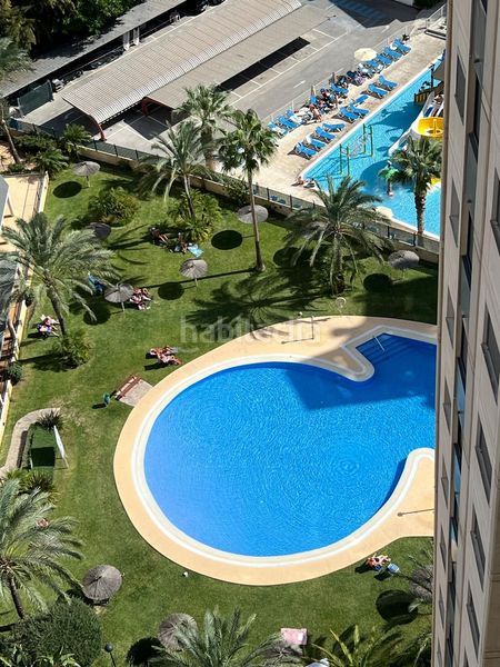 Foto 80106a8d-601b-4273-b3c4-dd7b789ee66b. Pis amb piscina a Playa Levante Benidorm