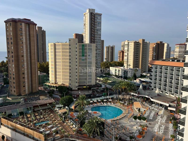 Foto e09278e6-7444-4602-9a04-a93a229eb77f. Flat in Playa Levante Benidorm