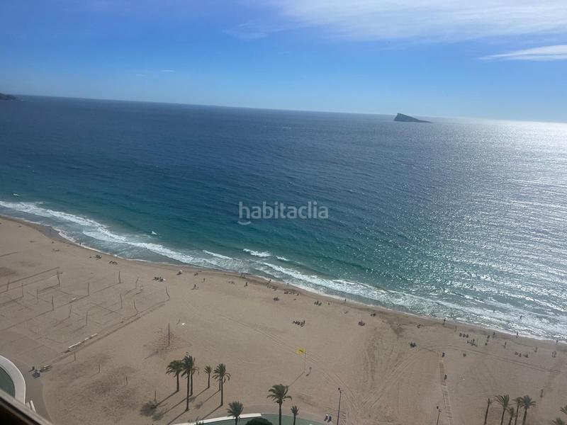 Foto 1d18d493-a457-425d-9872-34afa2576ee5. Pis amb piscina a Playa Poniente Benidorm