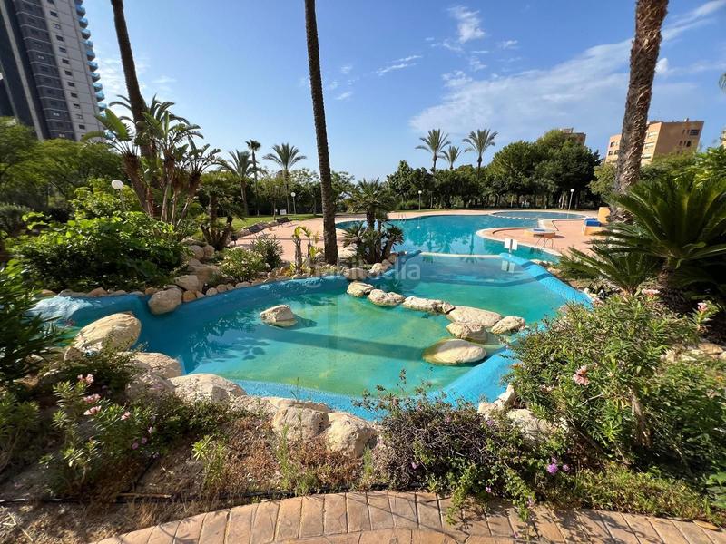 Foto 7d17284e-3af9-4cd0-b617-0f7522f219e0. Apartament amb piscina a Playa Poniente Benidorm