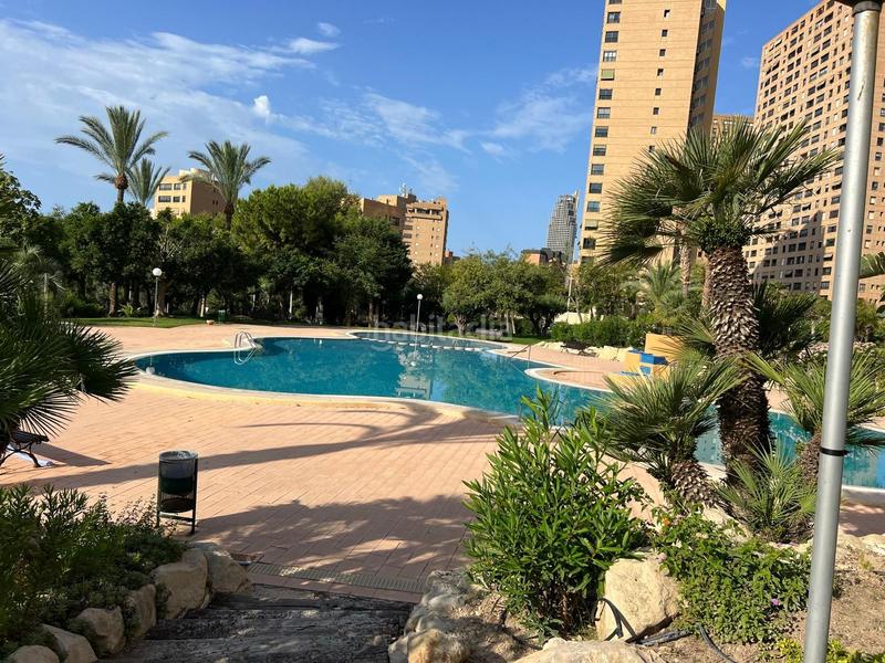 Foto a1ac37cb-6fac-4712-a0bb-41a4e9ba754c. Apartament amb piscina a Playa Poniente Benidorm