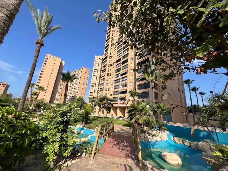 Foto c5ff809b-69d0-4910-ae5e-c4b6485ef118. Apartament amb piscina a Playa Poniente Benidorm