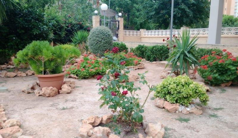 Foto c1c351e4-e519-42af-b9b1-298ab6abd672. Pis amb piscina a Rincón Bajo Benidorm